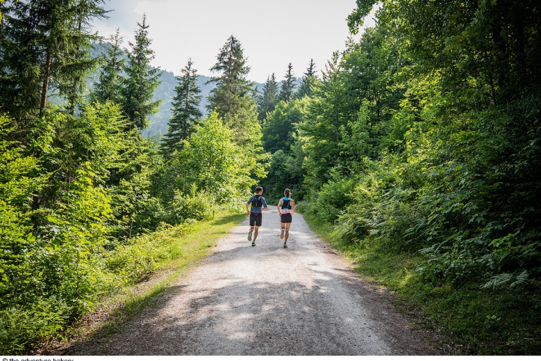 Hotel Trek Safari - King Dachstein Trail pro běžce